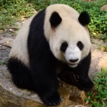 5 分钟搭建一个私有 npm registry