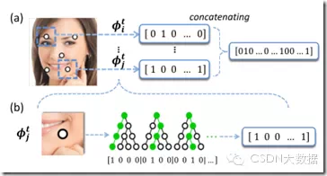 人脸识别技术大总结——Face Detection &amp; Alignment