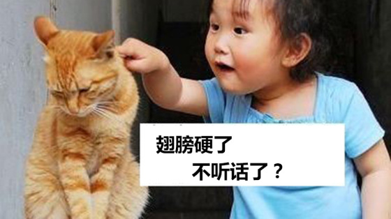 25岁女孩手绘微信头像 随手一画35元/个