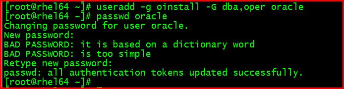 【Oracle】RHEL6.4-64位 安装oracle11.2.0.3(二) 软件安装环境准备