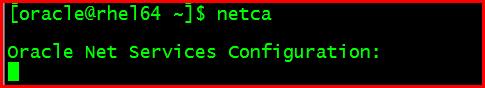 【Oracle】RHEL6.4-64位 安装oracle11.2.0.3(四) netca创建监听程序