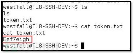TEST LAB V8在线渗透实验室教程（四）