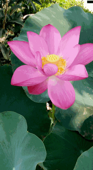 动画篇——碎片动画