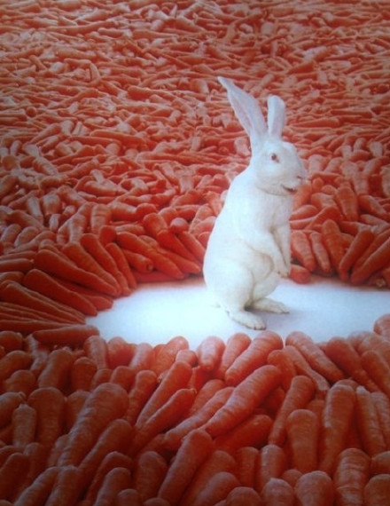 分享几本 O'Reilly 出品的免费电子书