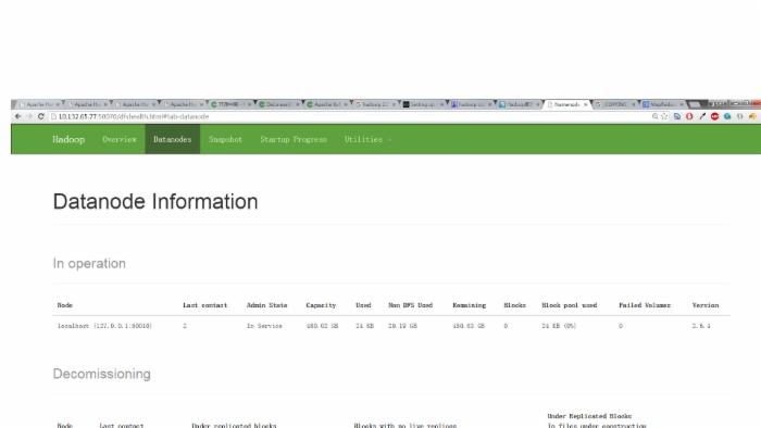 Hadoop 单机伪集群配置试验和分析