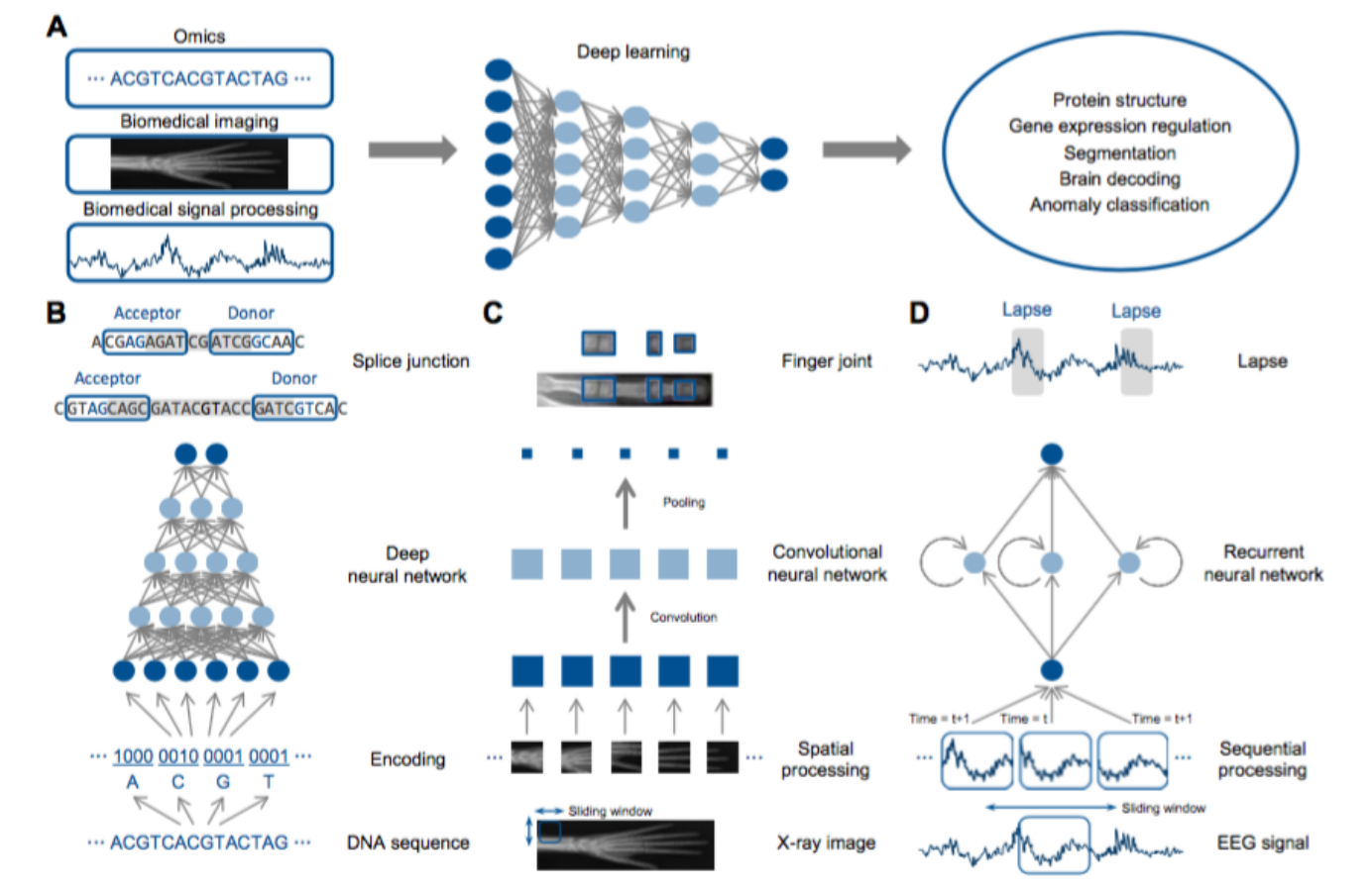 当AlphaGo战胜李世石以后，我们来聊聊深度学习