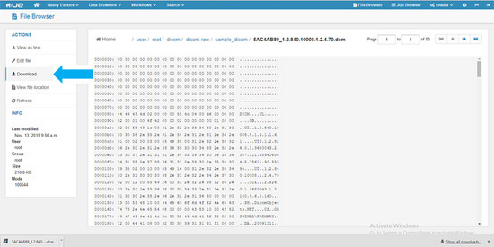 用Apache Hadoop和Apache Solr处理和索引医学图像