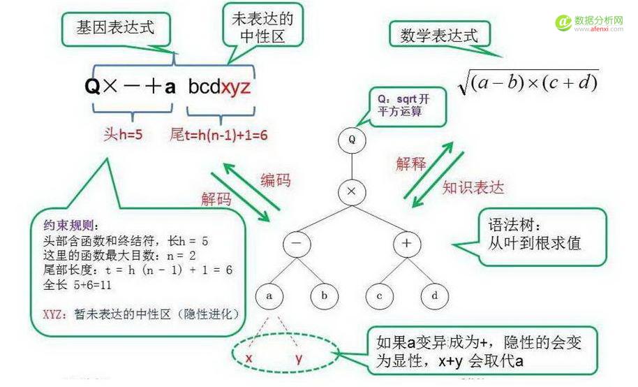 趣味数据挖掘系列10：基因表达式编程
