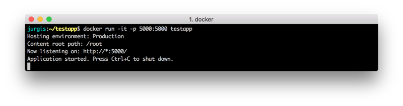 在Docker上运行.NET Core