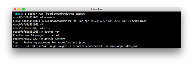 在Docker上运行.NET Core