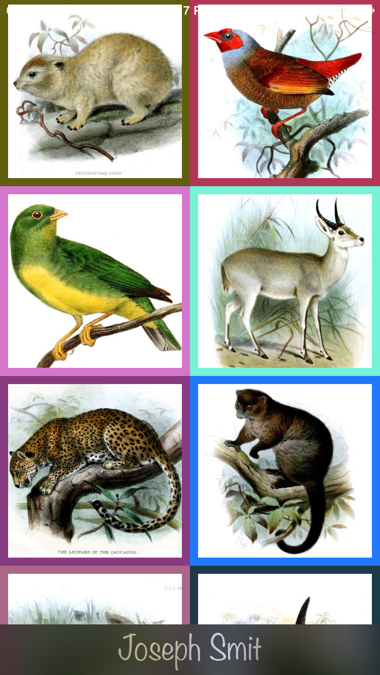 [iOS] 也许是使用最方便的图片下载扩展及 ImageView 加载类库