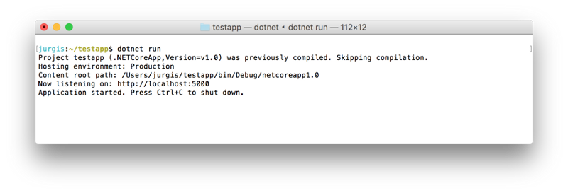 在Docker上运行.NET Core