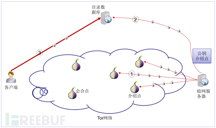 揭秘暗网中的Tor网络连接