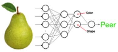 深度学习简明教程