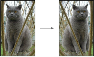 #Deep Learning回顾#之LeNet、AlexNet、GoogLeNet、VGG、ResNet