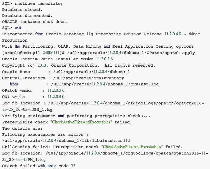 Oracle Patch补丁体系和如何打补丁