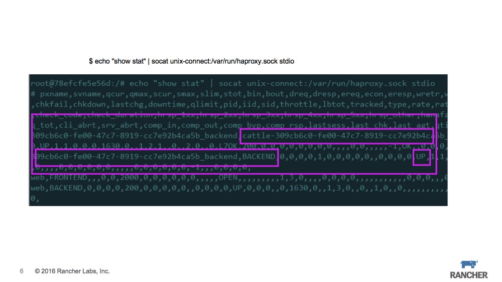 微服务运行指南——For Cattle【zoues.com】