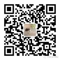 最好用的 Visual Studio Code 特性和插件