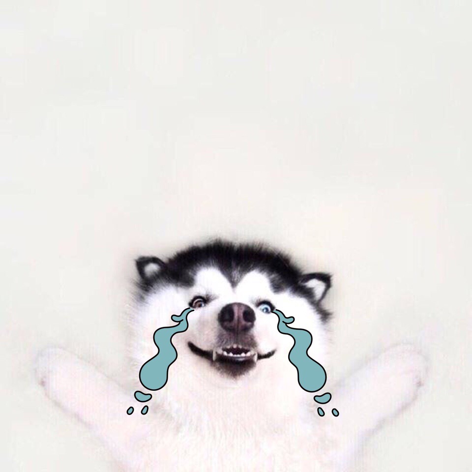 OSChina 周五乱弹——我们就开个程序员餐厅