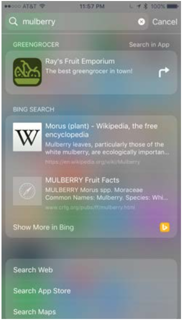 iOS 10 by Tutorials 笔记（十三）