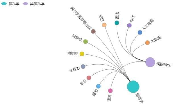 中科院徐波：中国脑计划的现状和发展方向