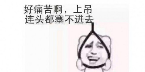 我与这七款编程语言的爱恨情仇，太心酸了！