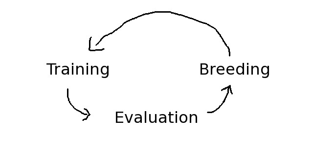 机器学习小白入门指引，开年也要规划好小目标