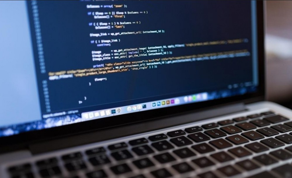 一花一世界，一码一人生