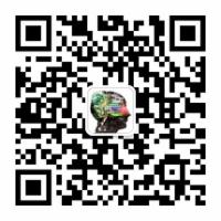 arXiv Paper Daily: Mon, 6 Feb 2017