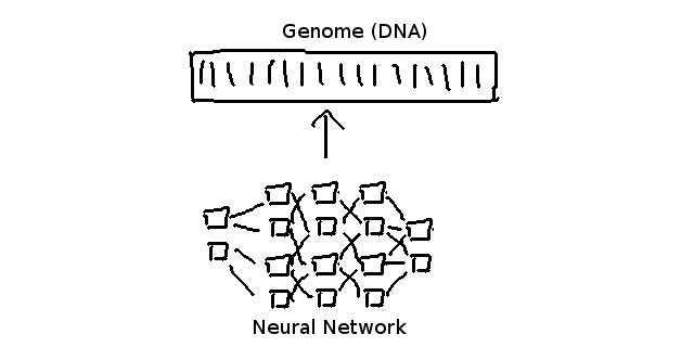 机器学习小白入门指引，开年也要规划好小目标