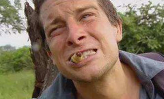 JS获取上一访问页面URL地址document.referrer实践