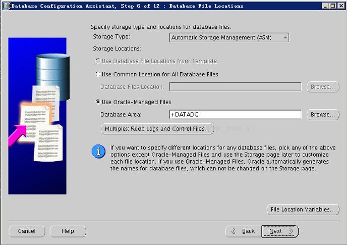 oracle 11.2.0.4 rac for rhel 6.8 installation