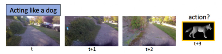 狗狗视角看世界，用视觉数据预测狗的行为