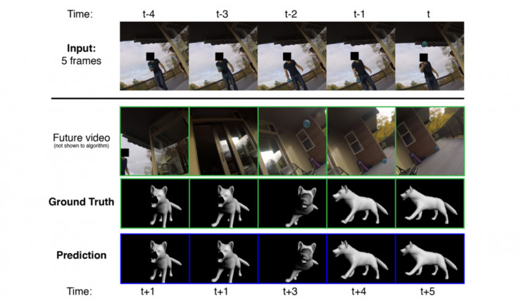 狗狗视角看世界，用视觉数据预测狗的行为