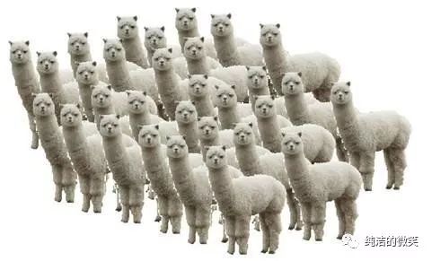 规则引擎 Drools 教程（一）