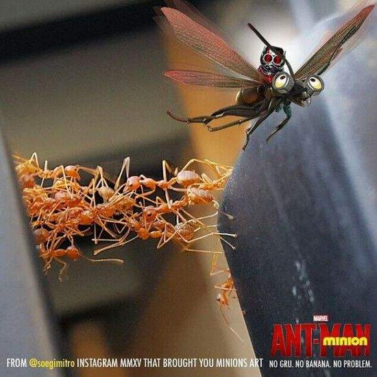 javaScript 之 蚁人<微任务>