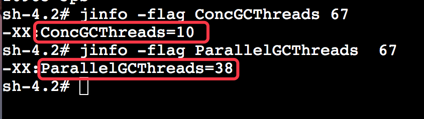 Java应用Docker化部署GC变长的采坑经历
