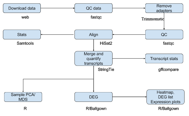 有参考基因组的RNA-seq详细分析流程