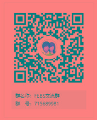 Febs Vue 版发布，基于 Spring Boot 的权限管理系统