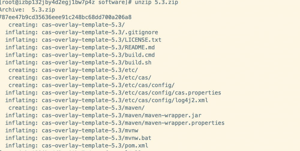 CAS单点登录(SSO)实战(一)