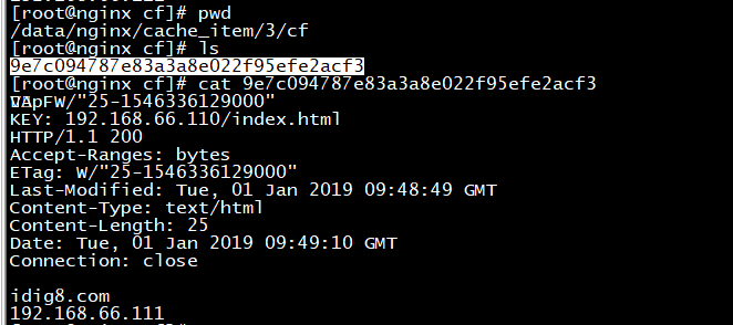 『互联网架构』软件架构-nginx（下）（20）