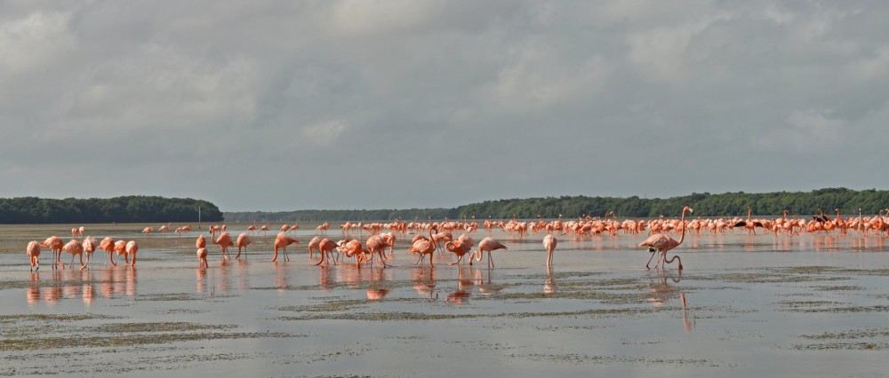 为什么不断做迁移，那是在还技术债