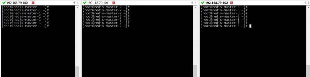 『互联网架构』软件架构-redis特性和集群特性（下）（50）