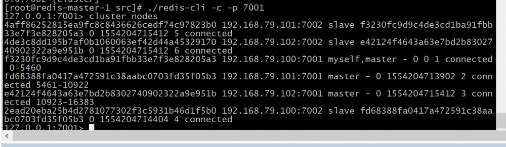『互联网架构』软件架构-redis特性和集群特性（下）（50）