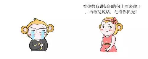 码妞：领导让我重构代码，怎么办？