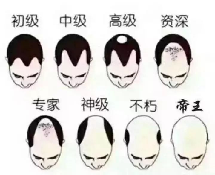 “我培训完JAVA，进了美团，美团氛围特别好，就是送餐特别累”