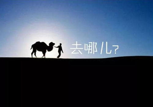 高性能高可用搜索系统架构