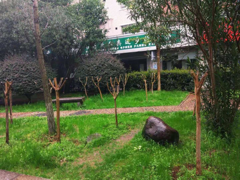 Java开发人员必须掌握的Linux命令-学以致用（五）