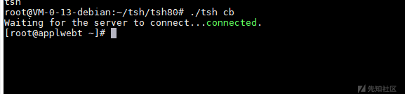 一次真实axis2渗透测试