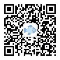 如何破除认知偏差？从深度思考的私藏公众号说起